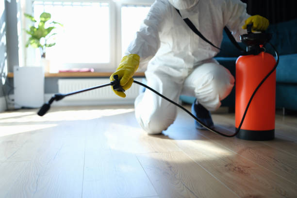 Best Flea Control Services  in Garden View, PA