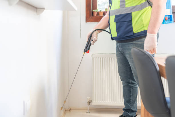 Flea Control Services in Garden View, PA