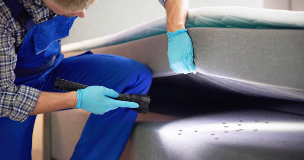 Professional Pest Control in Garden View, PA