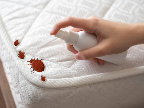 Best Emergency Pest Control  in Garden View, PA