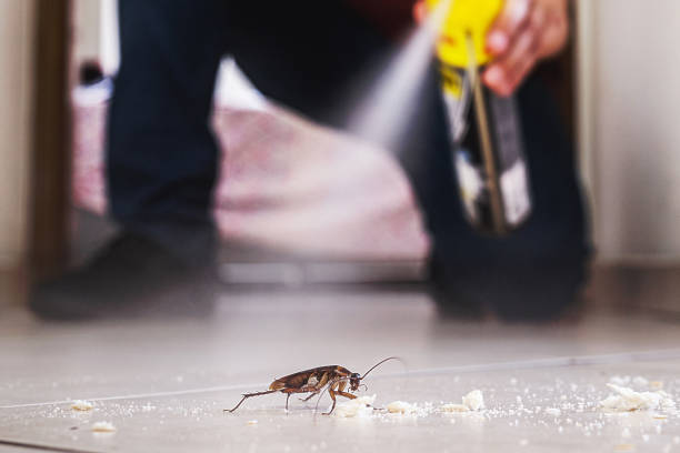 Best Best Pest Control Companies  in Garden View, PA