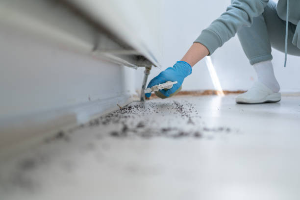 Best Emergency Pest Control  in Garden View, PA