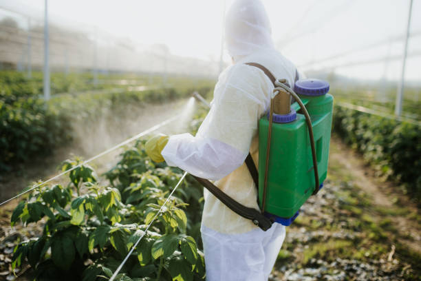 Pest Prevention Services in Garden View, PA